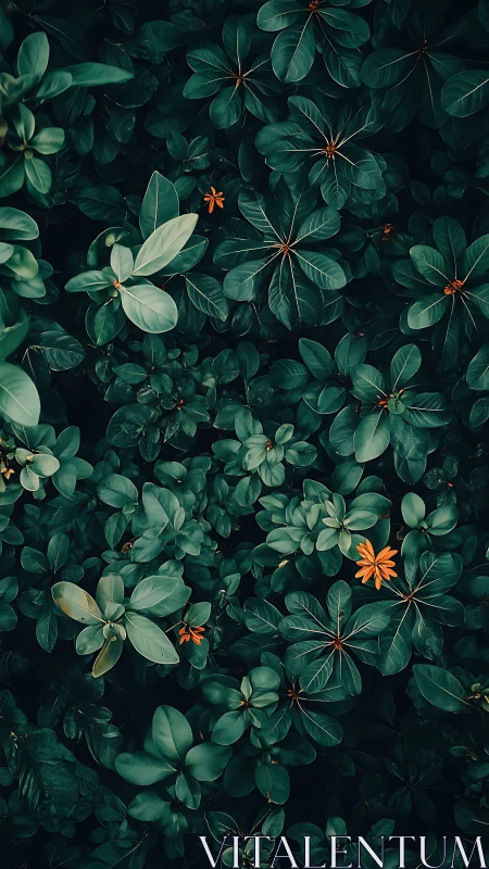 Emerald foliage canopy with isolated orange floral accents.