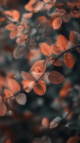 Ember-kissed autumn leaves drifting through muted twilight.