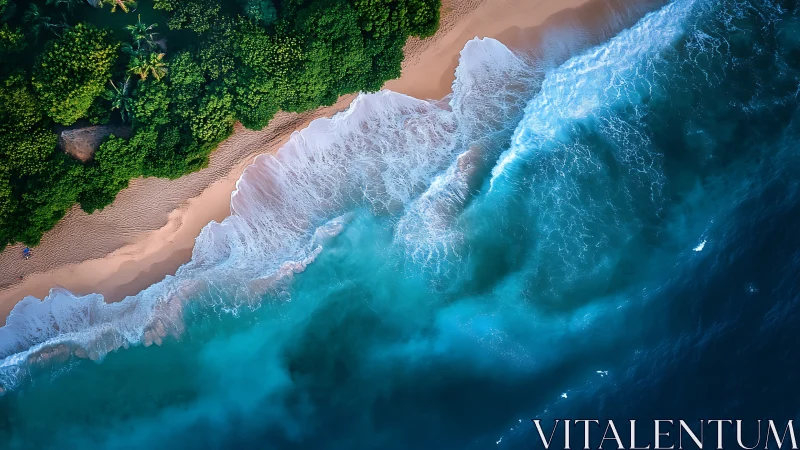Aerial shoreline study with turquoise surf and dense canopy edge.