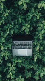 Sleek laptop rests amid lush green foliage in nature.