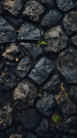Basalt masonry surface with wet textures and sparse vegetation.