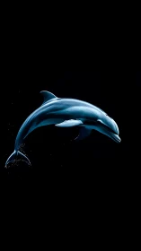 High-contrast dolphin profile in deep black negative space.