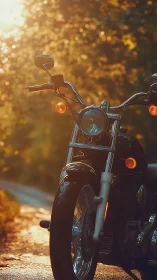 Golden hour motorcycle waits quietly on a sunlit forest road