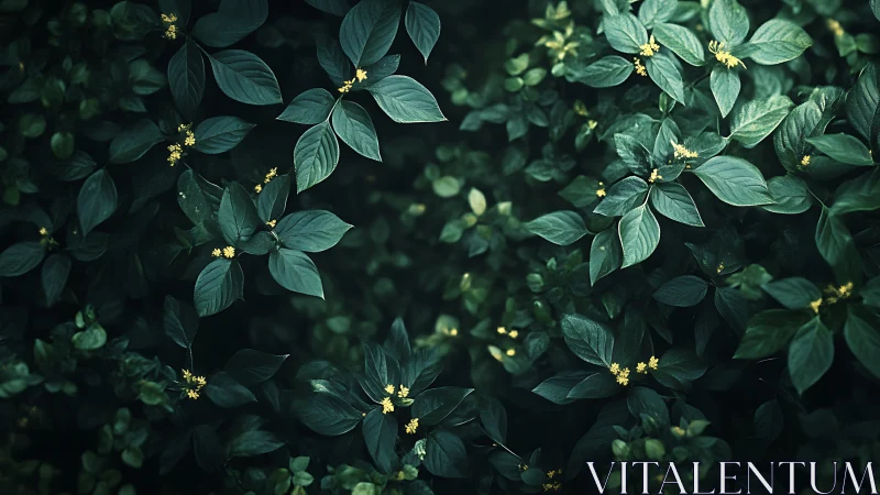 Moody green foliage with scattered tiny yellow blossoms.