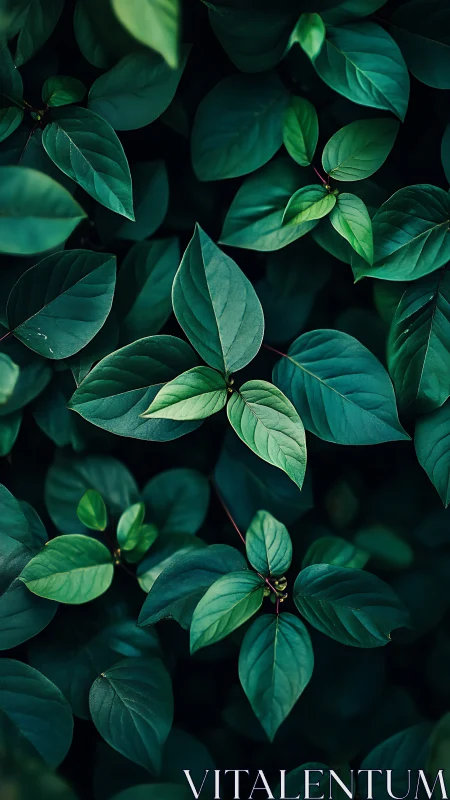 Gentle green leaves creating a calming forest-like embrace.
