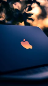 Soft sunset glow reflected on a sleek laptop lid.