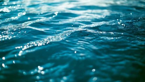 Sunlit teal water ripples capture sparkling surface light.