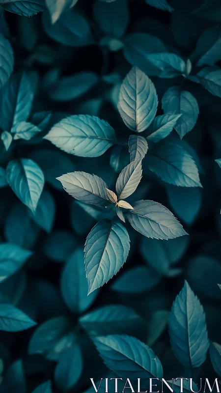 Calm teal leaves offering a quiet moment of gentle focus.
