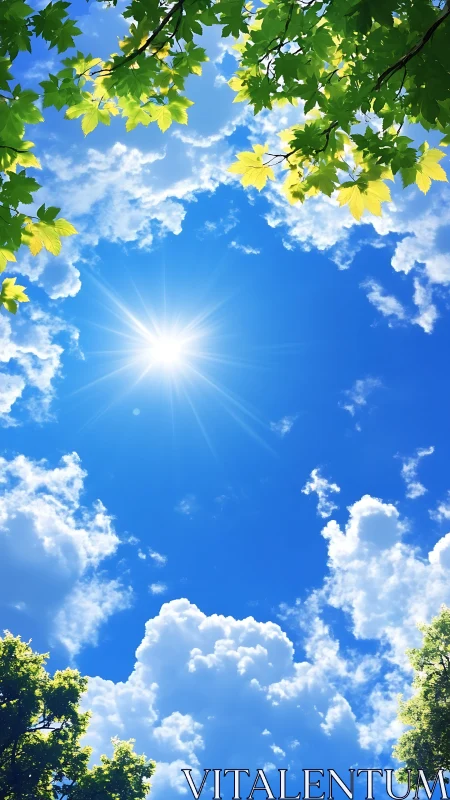 Bright midday sun over blue sky framed by green leaves.