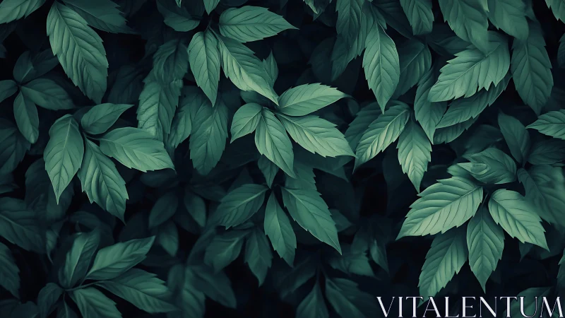 Lush emerald foliage study in moody low key botanical lighting.