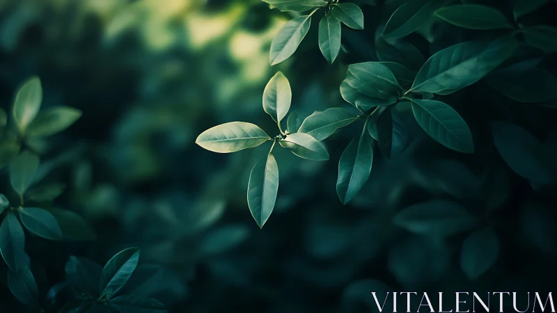 Close-up of green leaves with soft focus background, nature-inspired.