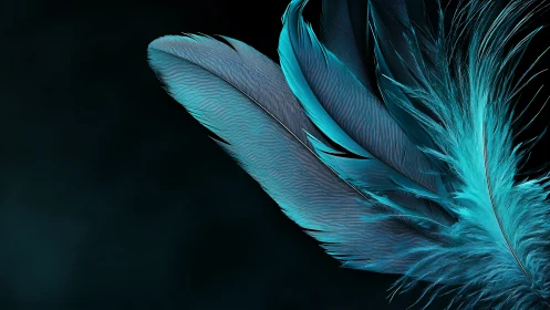 Gentle teal feathers drifting across a deep quiet night.