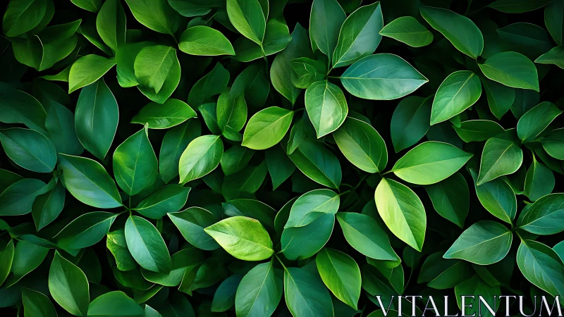 Lush overlapping foliage in rich emerald tonal gradients.