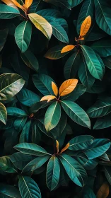 Emerald foliage cradles copper leaves in quiet forest glow.