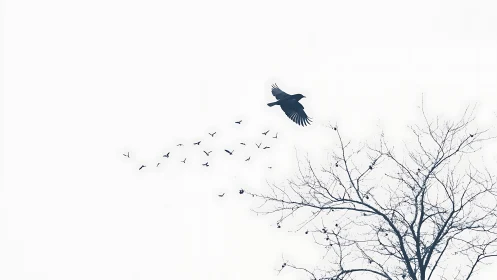 Minimalist silhouette of flying birds and bare tree branches.