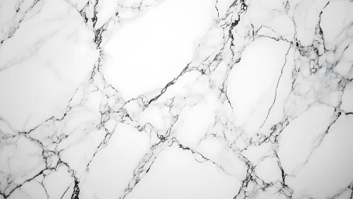 High-key white marble surface shows fine grey veining network