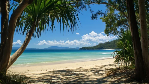 Tropical Beach Paradise Framed by Palm Trees and Turquoise Waters