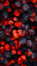 Red and blue foliage in closeup abstract composition.