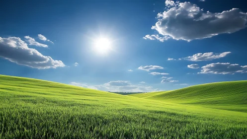 Sunlit hills roll softly beneath an enormous blue silence