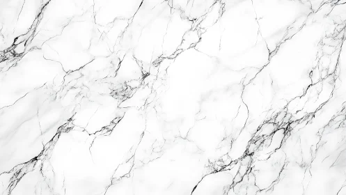 Soft white marble veins creating calm, welcoming texture.