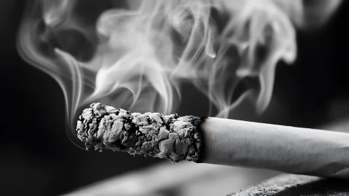 Burning cigarette end emits smoke in monochrome close-up