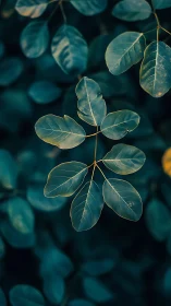 Moody photographic macro of teal-gold foliage cluster study.