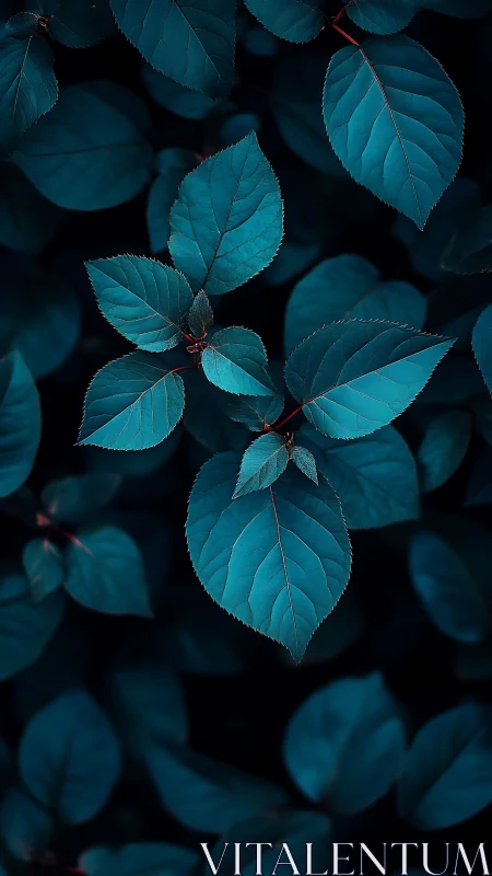 Midnight blue leaves glow softly in a quiet forest hush