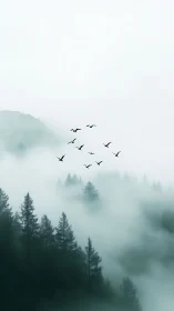 Mist-drifted pines and sky-borne birds in quiet migration.