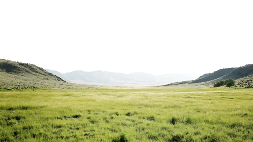 Sunlit grassland valley framed by distant rolling hills.