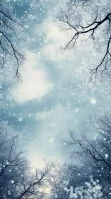 Snowfall drifts through bare winter trees toward pale sky.