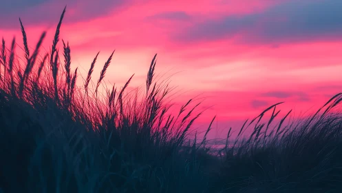Dune grass silhouettes kissing an electric neon sunset sky.