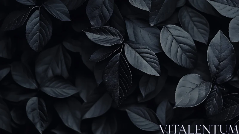 Dark moody foliage background with overlapping leaves.