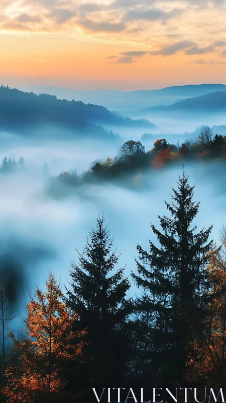 Mist-Shrouded Mountain Valley at Dawn with Coniferous Silhouettes