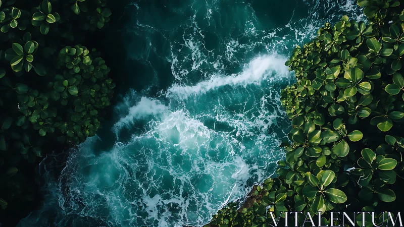 Ocean surf collides with lush tropical jungle canopy from above.