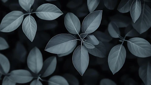 Monochrome foliage array with macro tonal leaf geometry.