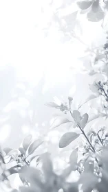 High-key monochrome close-up of foliage and blossoms.