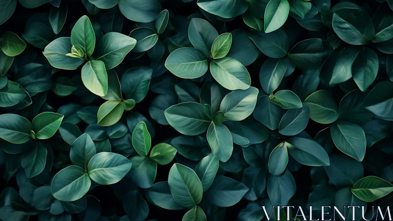 Emerald leaf chorus weaving a calm, forest-breathing pattern.