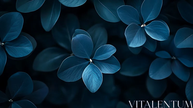 Blue-toned leaves form layered radial clusters in soft focus