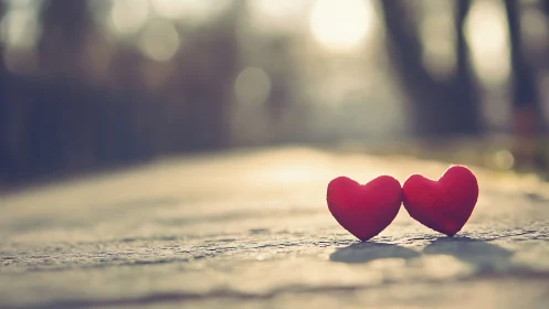 Twin Hearts Journey Down Memory Lane's Sunlit Path