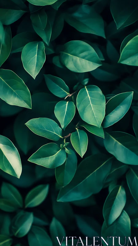 Emerald whisper leaves in a quiet dusk-green thicket.