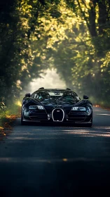 Black hypercar cuts through shaded forest road light