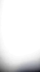 Bright white gradient background with dark faded edges.