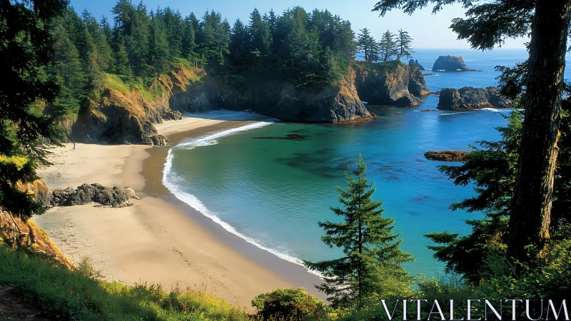 Crescent beach cove with forest overlook.