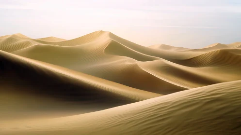 Golden sand dunes under soft daylight in empty desert.