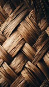 Braided palm fibers weave a sunworn rustic tapestry.