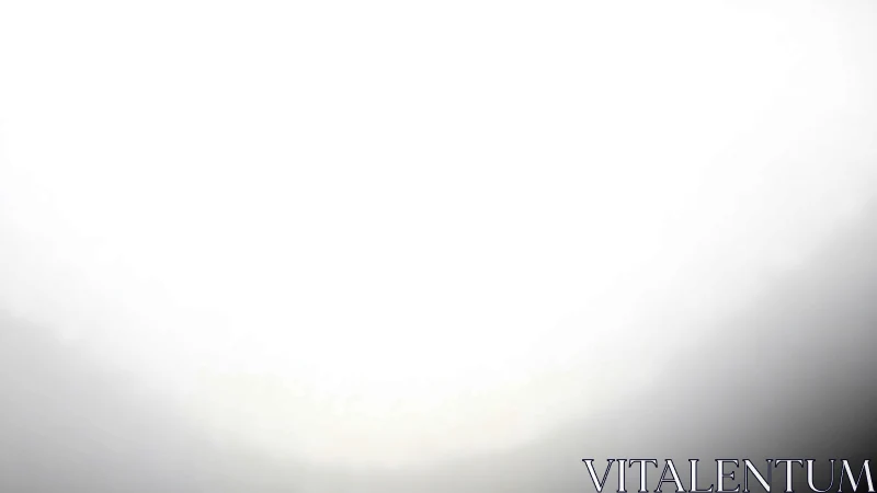 Bright overexposed frame with soft gray edge gradient.