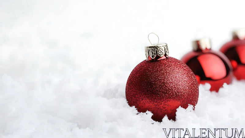 Crimson baubles quietly rehearse winter’s holiday sparkle