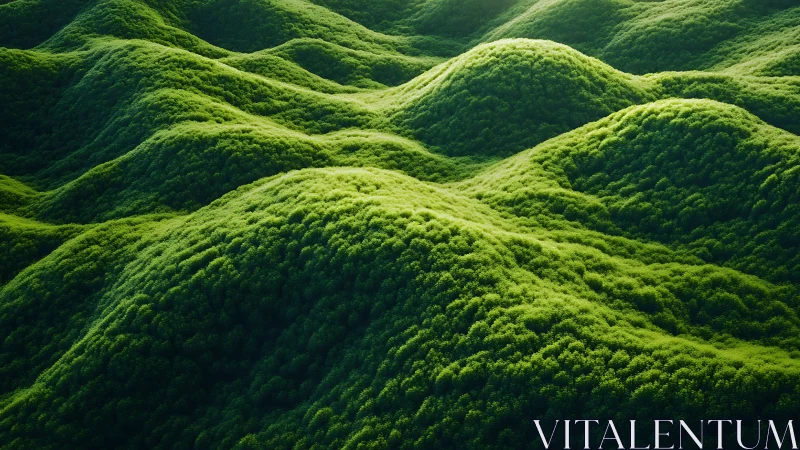 Emerald moss waves rolling across sunlit green valleys.
