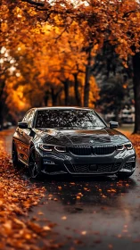 Black BMW sedan reflects autumn trees on wet leaf road