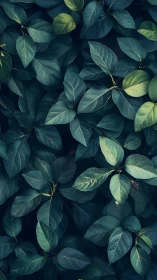 Moody close-up of dense foliage rendered in cool teal tones